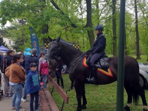 Policjanci na pikniku