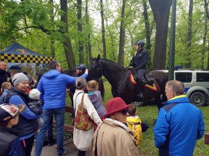 Policjanci na pikniku