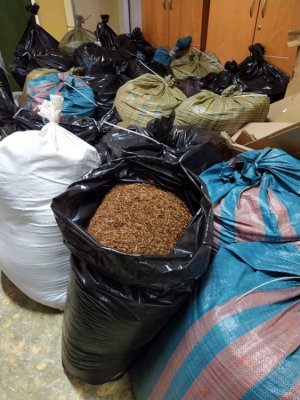 Zabezpieczono ponad 600 kilogramów „krajanki” tytoniu